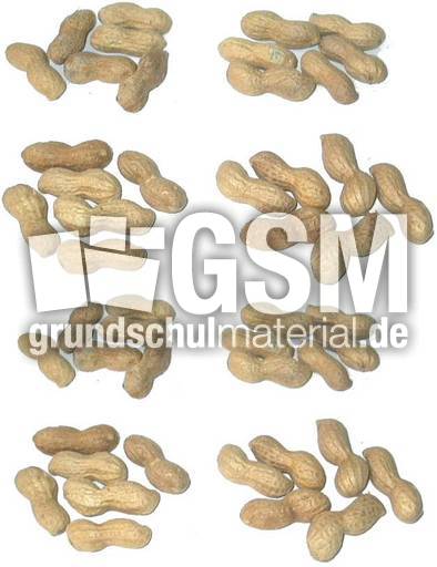 Erdnüsse-8x6.jpg